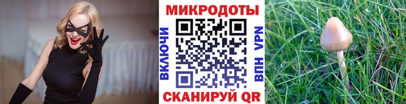 kraken зеркало  Ядрин  Псилоцибиновые грибы GOLDEN TEACHER  наркотики 
